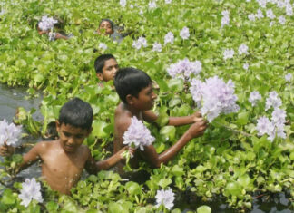The Growing Pet Culture in Bangladesh: Caring for Dogs the Right Way The Growing Pet Culture in Bangladesh